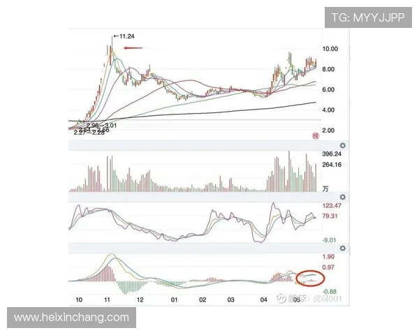 盘口变动分析视角下资本流向与市场趋势风险博弈深度解析研究探讨 - 副本 (4)