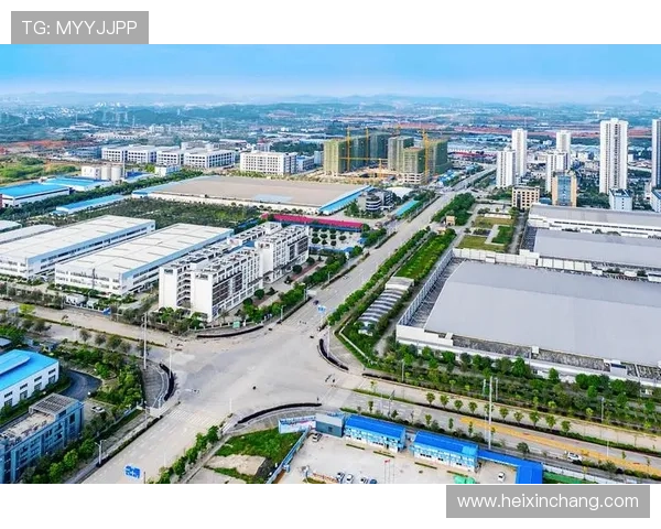 聚焦企业发展质量的半程表现评估与战略优化路径研究探索与实践创新 - 副本 (4) - 副本 - 副本