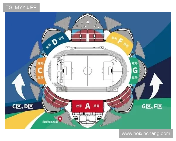 全球热门体育赛事观看与资讯平台全面汇总指南